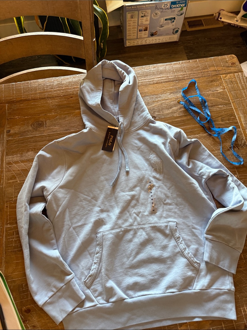 Polo by Ralph Lauren Light Blue Crewneck Hoodie